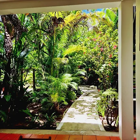 Paradise K Forest Hotel